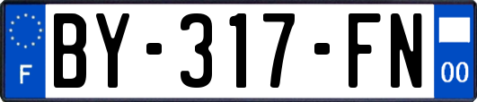 BY-317-FN