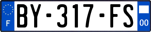BY-317-FS