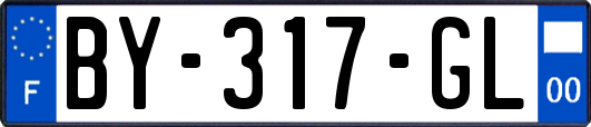 BY-317-GL