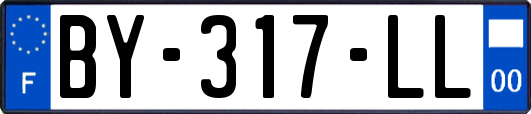 BY-317-LL