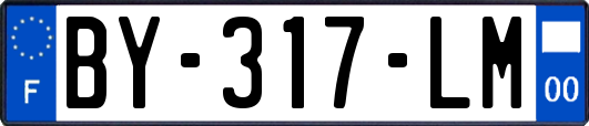 BY-317-LM