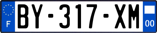 BY-317-XM