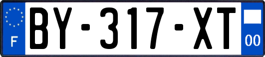 BY-317-XT
