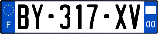 BY-317-XV