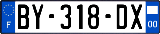 BY-318-DX