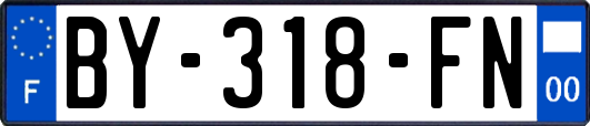 BY-318-FN