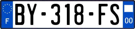 BY-318-FS