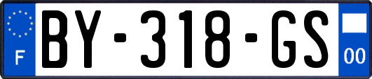 BY-318-GS