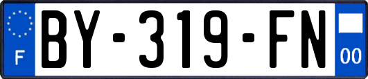 BY-319-FN