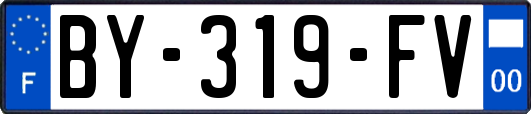 BY-319-FV