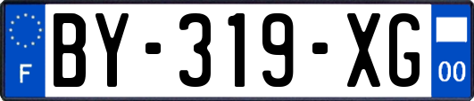 BY-319-XG
