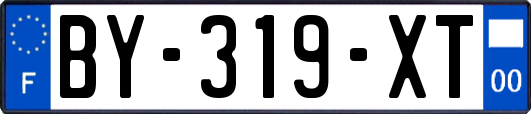 BY-319-XT