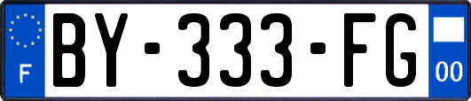 BY-333-FG