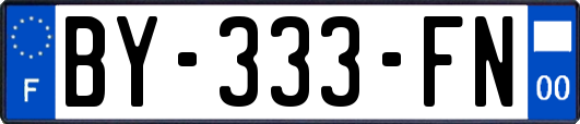 BY-333-FN