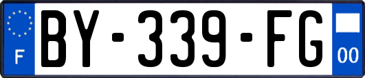 BY-339-FG