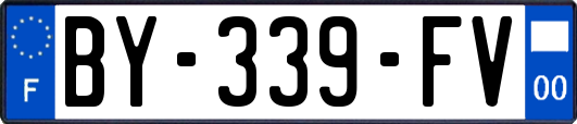 BY-339-FV