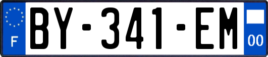 BY-341-EM