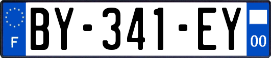 BY-341-EY