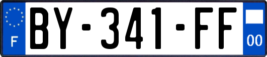 BY-341-FF
