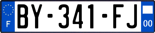 BY-341-FJ