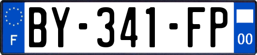 BY-341-FP