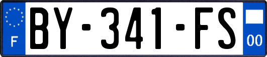 BY-341-FS