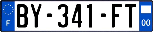 BY-341-FT