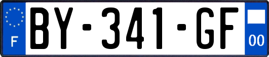 BY-341-GF