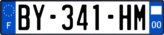 BY-341-HM