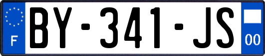 BY-341-JS