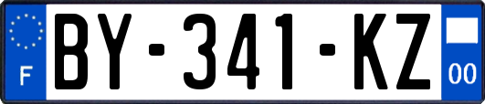 BY-341-KZ