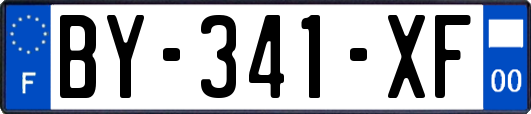 BY-341-XF