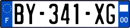 BY-341-XG