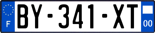 BY-341-XT
