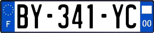 BY-341-YC
