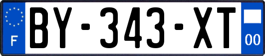 BY-343-XT