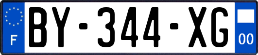 BY-344-XG