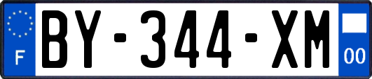 BY-344-XM