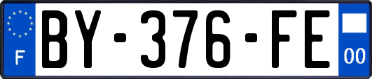 BY-376-FE