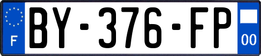 BY-376-FP