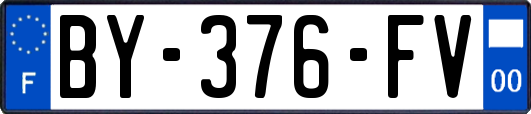 BY-376-FV