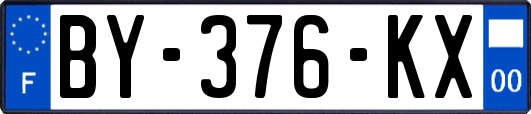 BY-376-KX