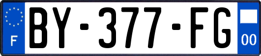 BY-377-FG