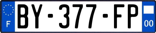 BY-377-FP