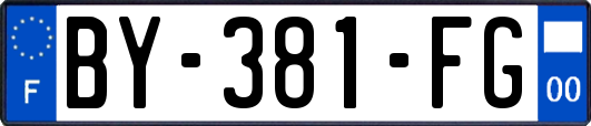 BY-381-FG