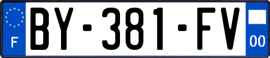 BY-381-FV