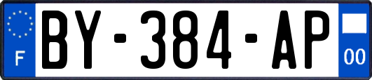 BY-384-AP