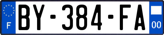 BY-384-FA