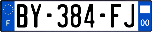 BY-384-FJ
