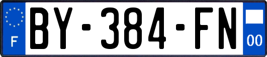 BY-384-FN
